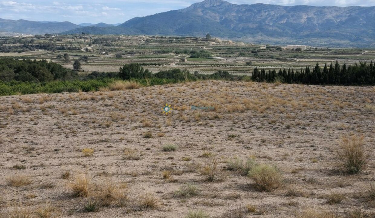 Paisaje mediterráneo con terrazas agrícolas