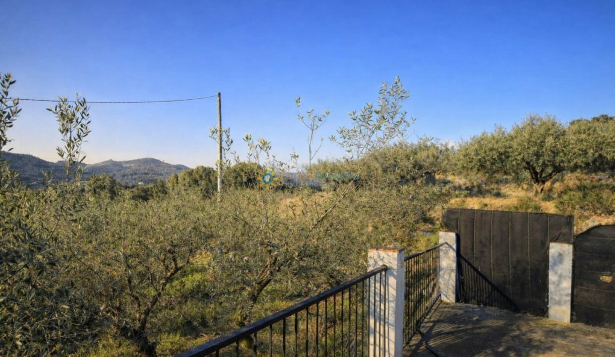 Paisaje mediterráneo desde una terraza