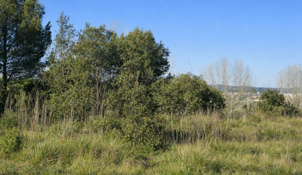 Paisaje primaveral con colinas y vegetación