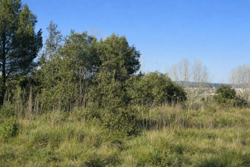 Paisaje primaveral con colinas y vegetación