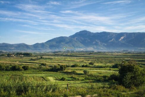 Paisaje rural al amanecer