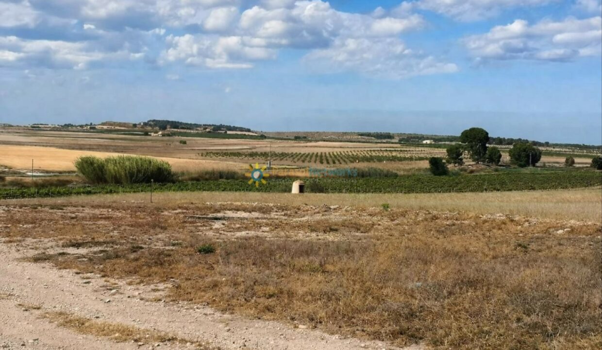 Paisaje rural bajo un cielo despejado