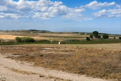 Paisaje rural bajo un cielo despejado