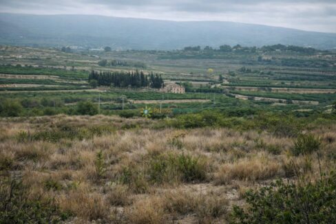 Paisaje rural con campos en terrazas