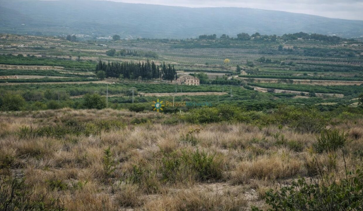 Paisaje rural con campos en terrazas