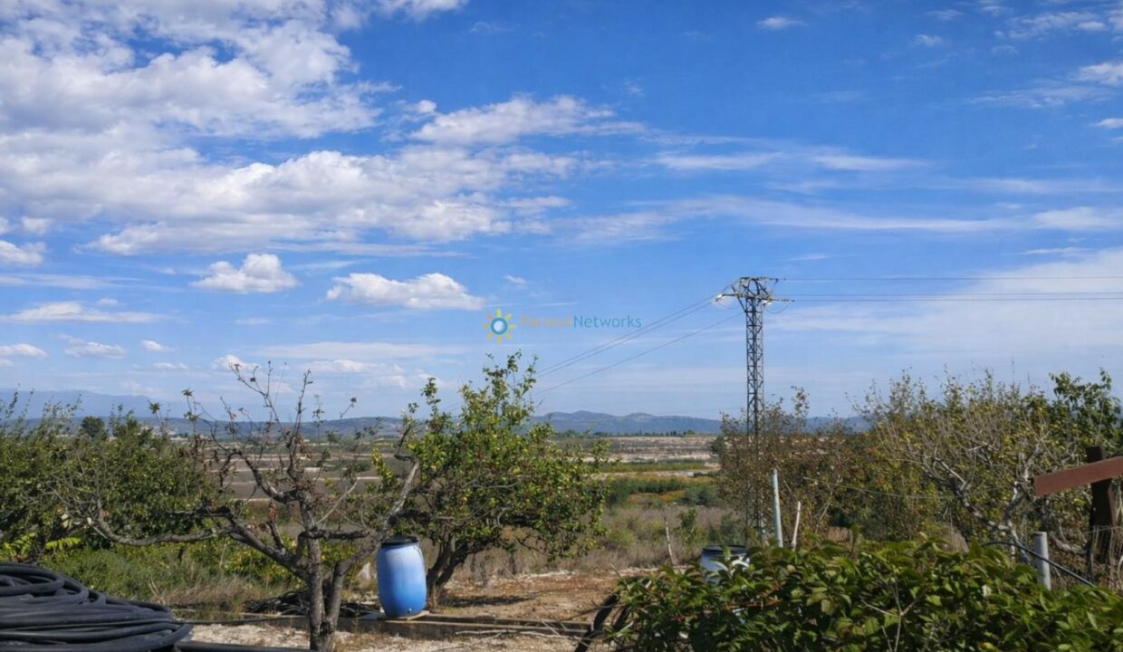 Paisaje rural con cielo claro y detalles