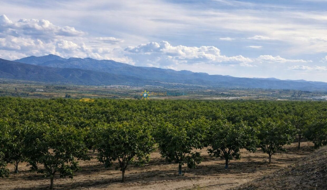 Paisaje rural con huerto y montañas