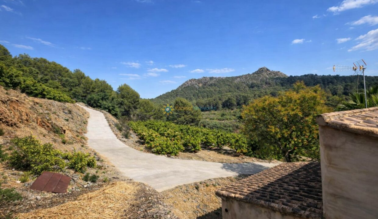 Paisaje rural con huertos de naranjas