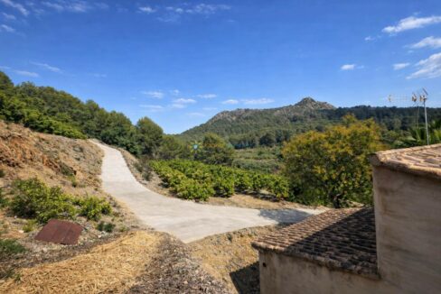 Paisaje rural con huertos de naranjas