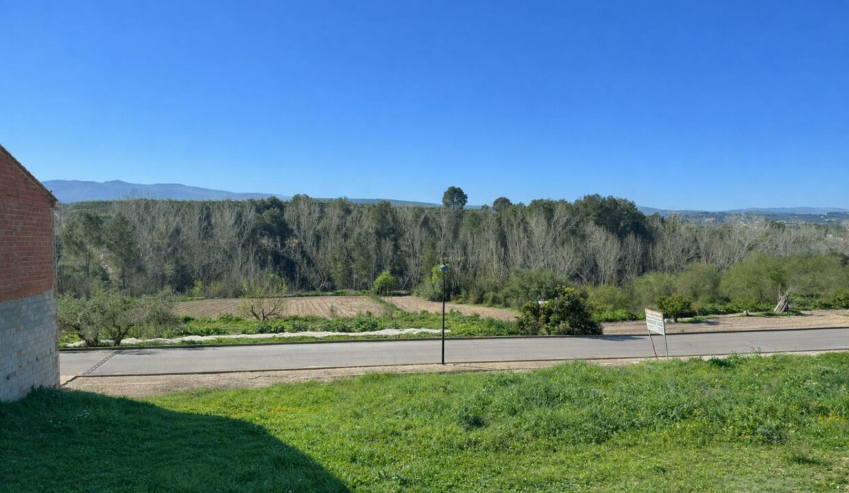 Paisaje rural con montañas al fondo