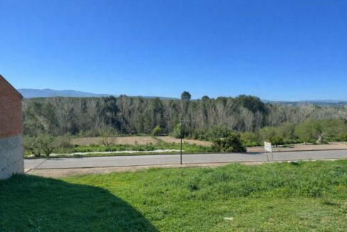 Paisaje rural con montañas al fondo