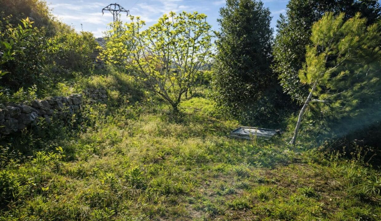 Paisaje rural con vegetación abundante