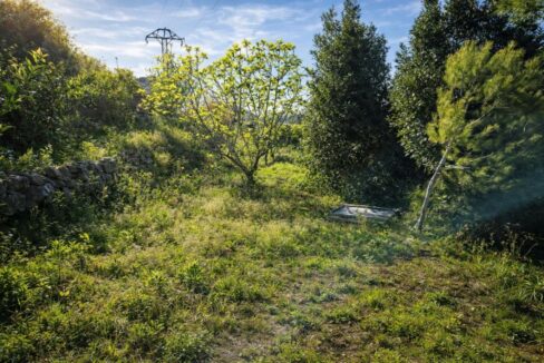 Paisaje rural con vegetación abundante