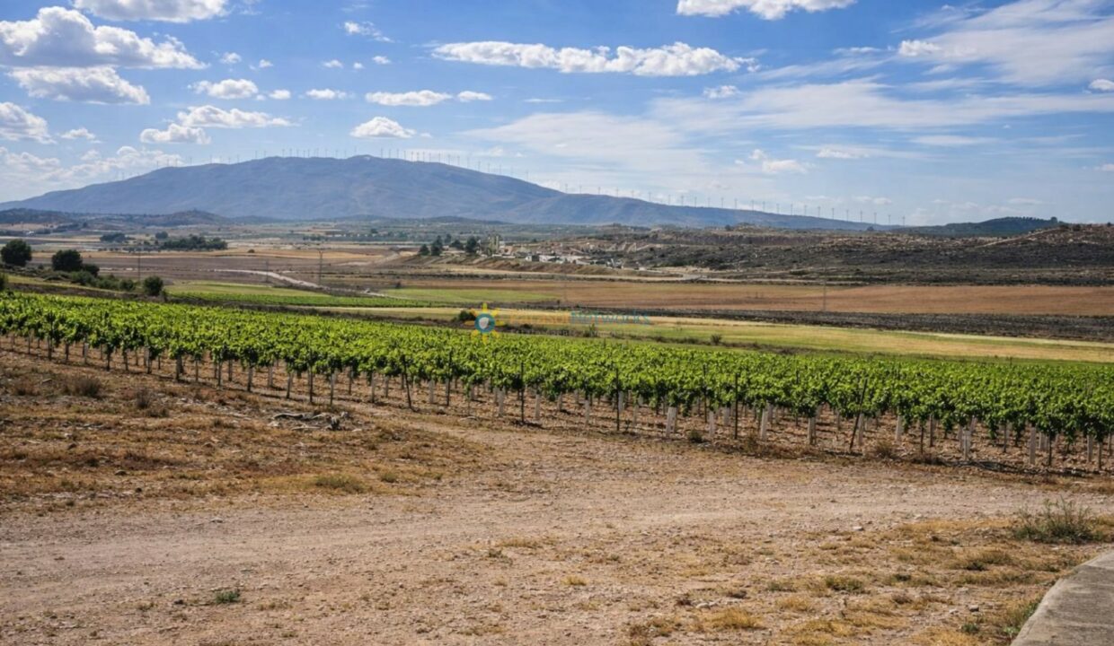 Paisaje rural con viñedo y montañas