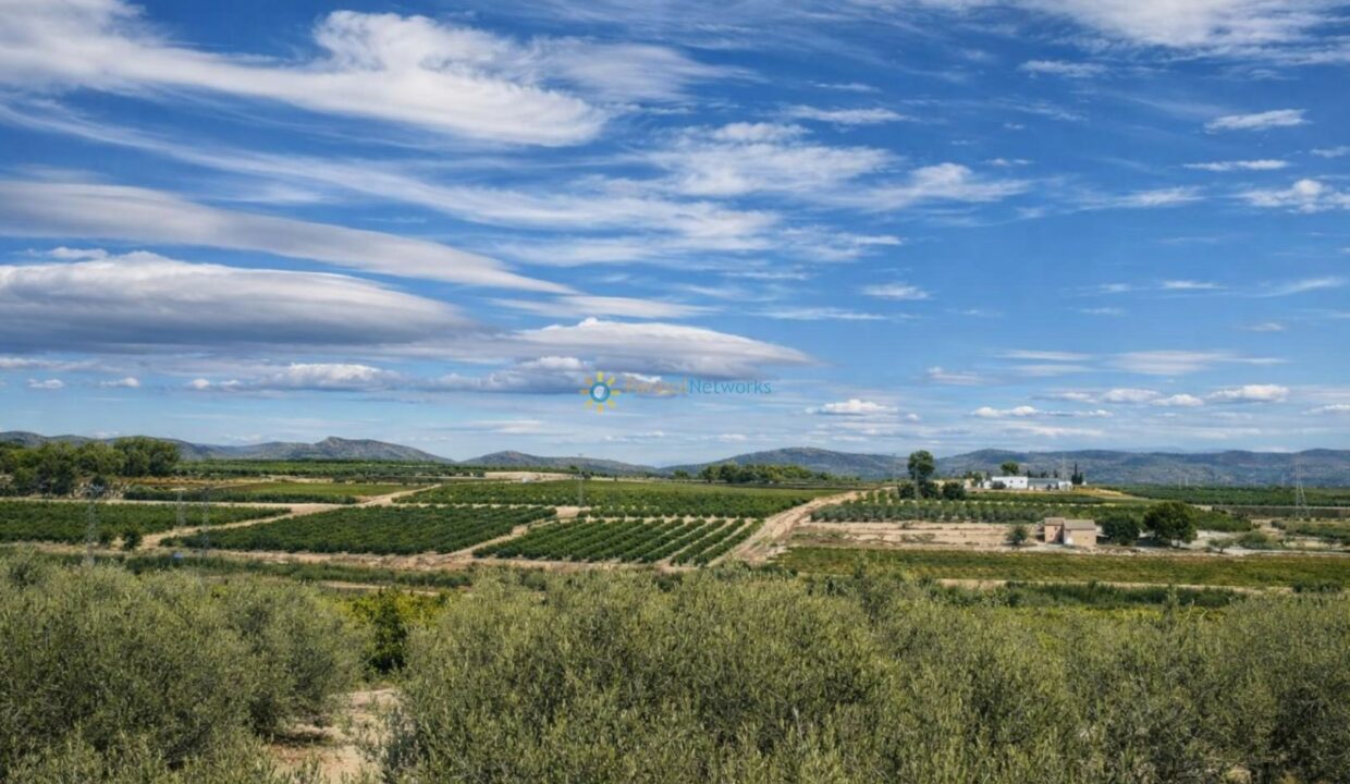 Paisaje rural mediterráneo con olivos