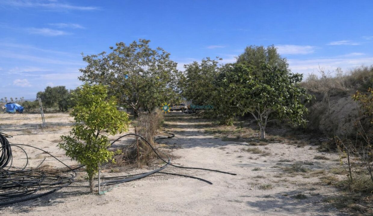 Paisaje semiárido con árboles frutales