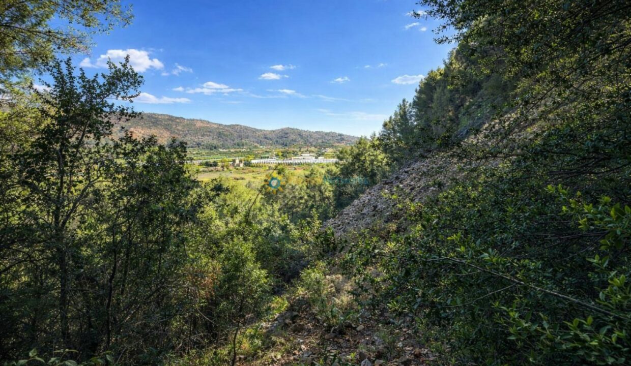 Paisaje sereno con valle cultivado