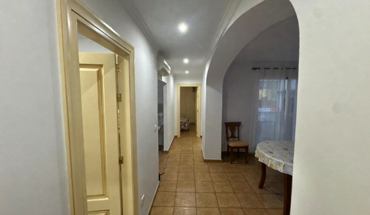 Pasillo luminoso hacia el comedor(1)