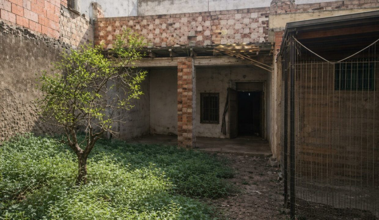 Patio abandonado con vegetación densa