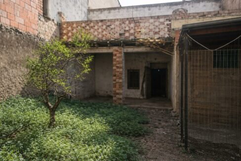 Patio abandonado con vegetación densa