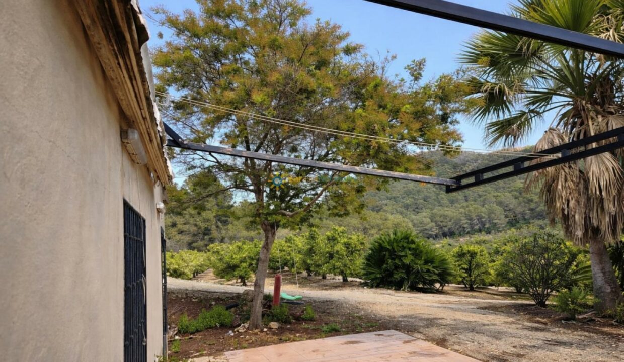 Patio rústico con árbol y columpio