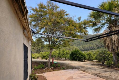 Patio rústico con árbol y columpio