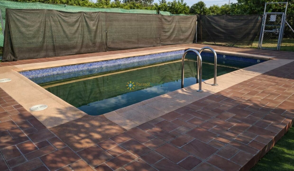 Piscina en jardín con luz natural