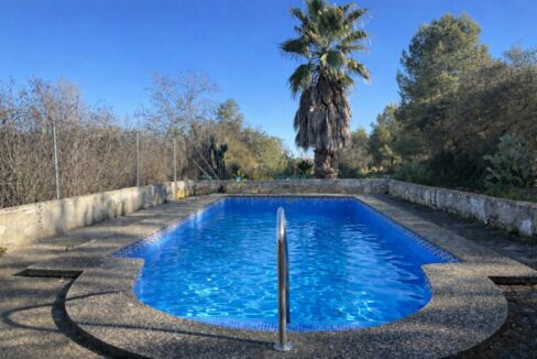 Piscina rodeada de naturaleza serena