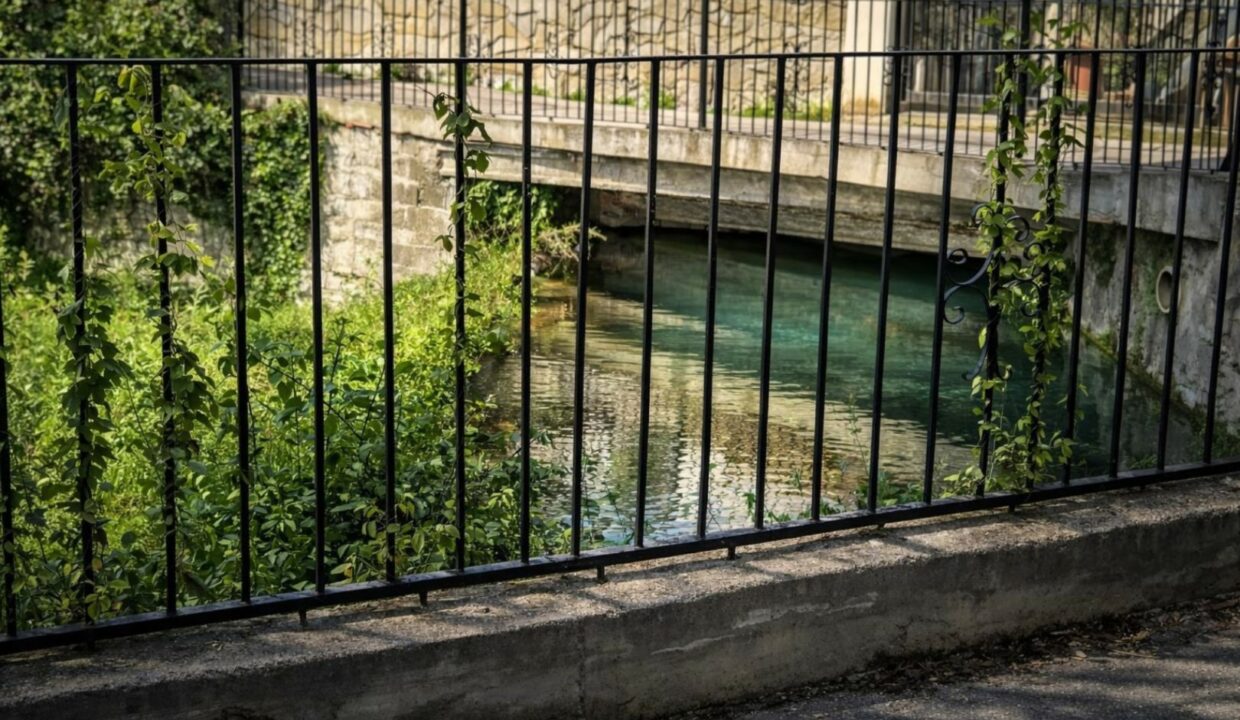 Puente de piedra y hojas verdes