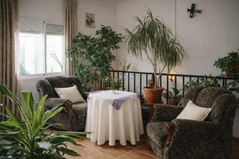 Rincón acogedor con plantas y luz natural