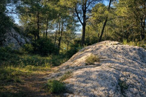 Rocas iluminadas por el sol en el bosque
