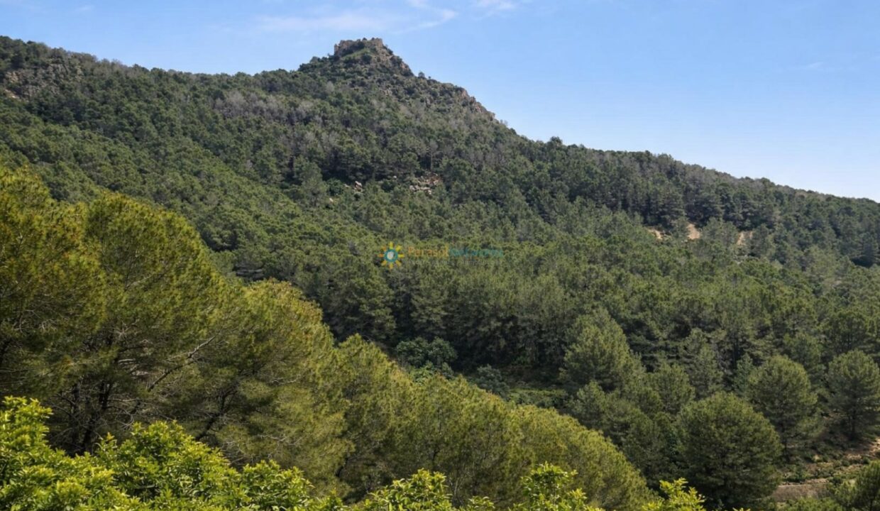 Ruina antigua sobre la colina verde