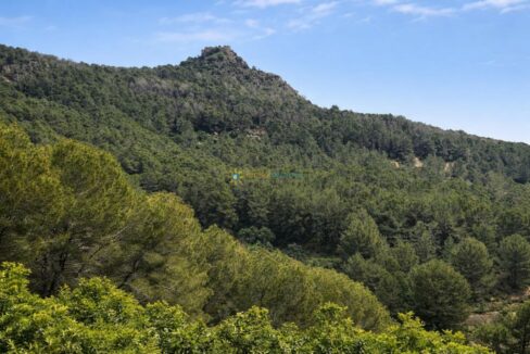 Ruina antigua sobre la colina verde