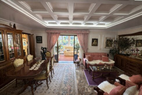 Sala de estar y comedor elegante