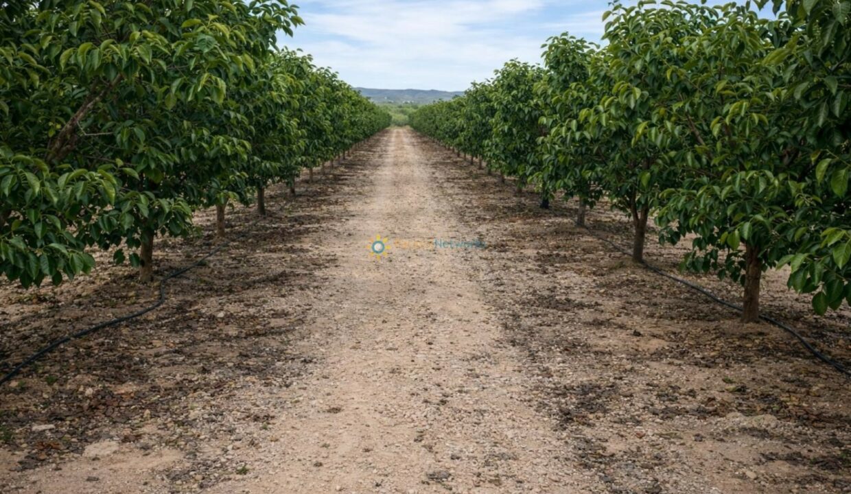 Santuario frutal con sendero rural