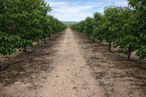 Santuario frutal con sendero rural