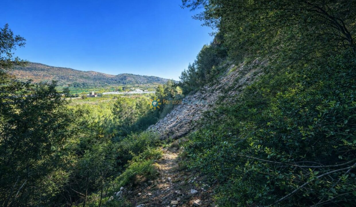 Sendero hacia el valle agrícola