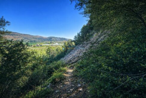Sendero hacia el valle agrícola