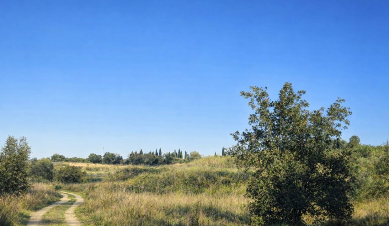 Sendero rural bajo el cielo azul