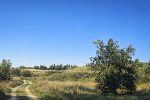 Sendero rural bajo el cielo azul