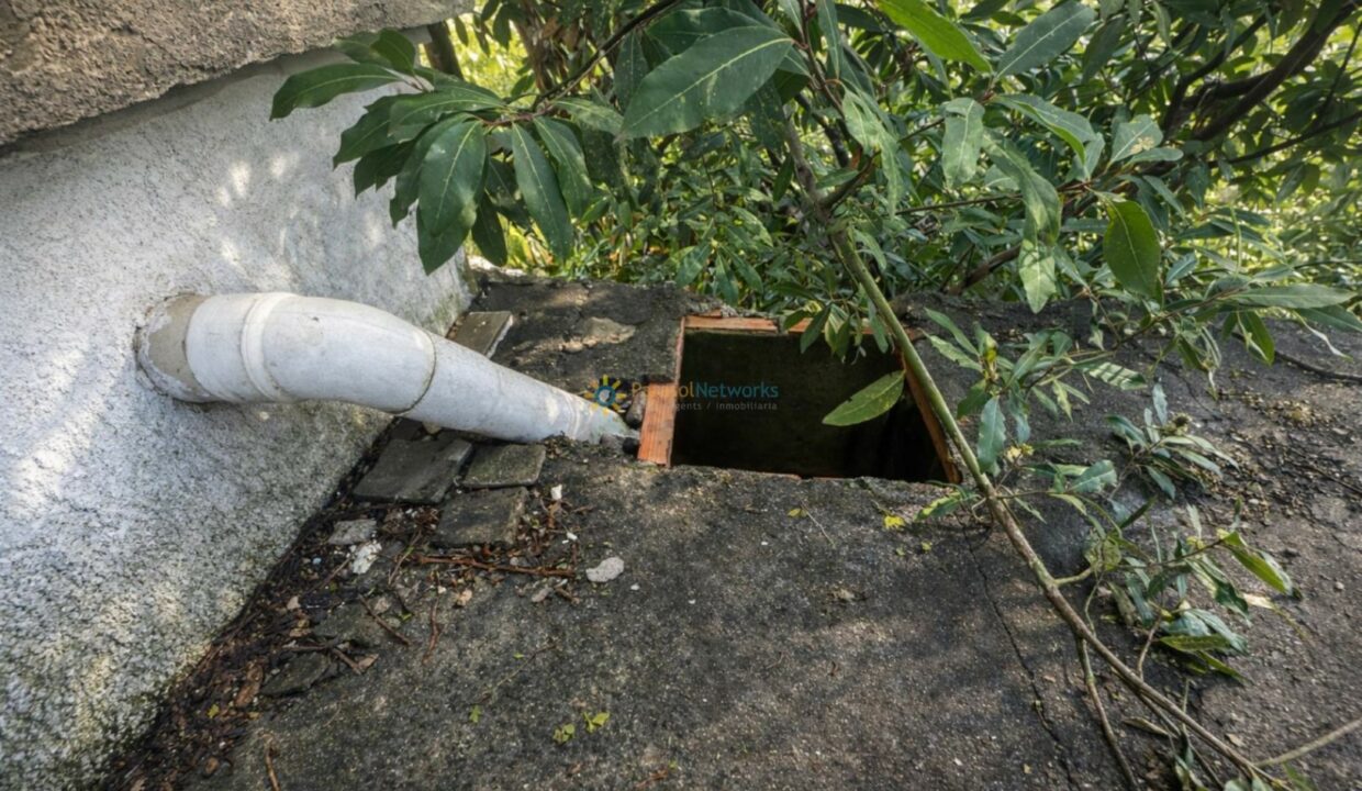 Tejado envejecido y vegetación exuberante