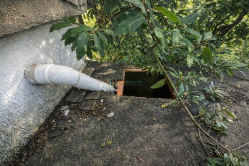 Tejado envejecido y vegetación exuberante