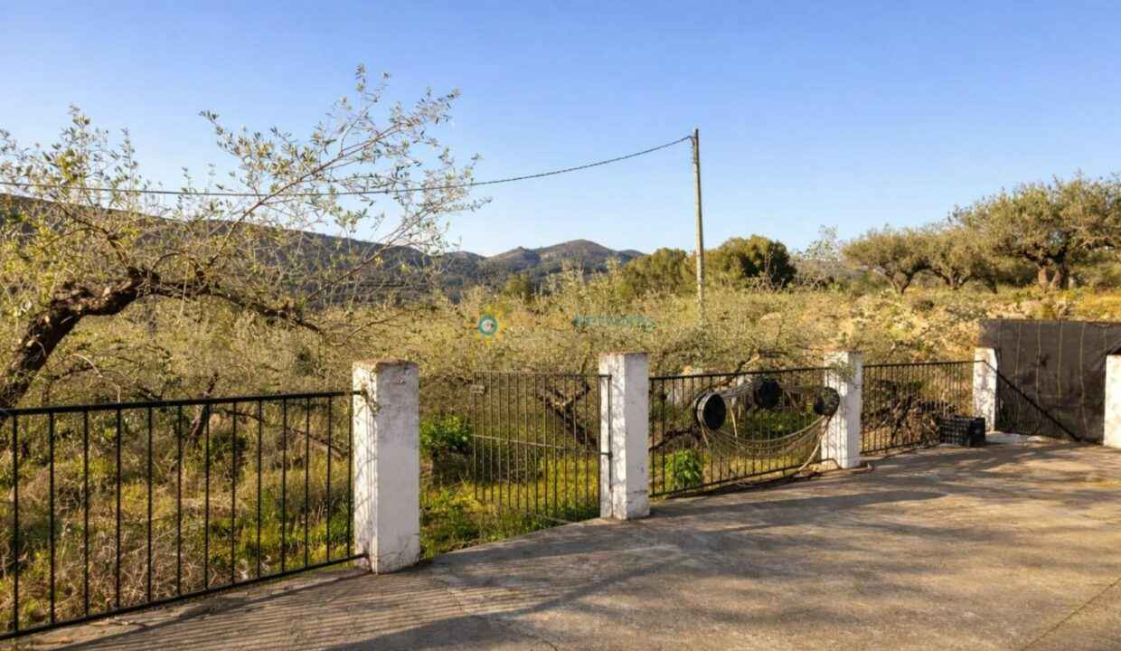 Terraza rural con vista al olivar
