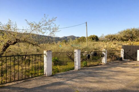 Terraza rural con vista al olivar