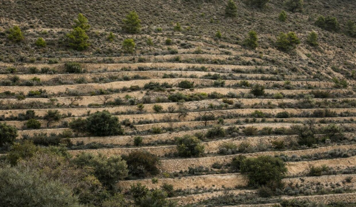 Terrazas agrícolas en la ladera