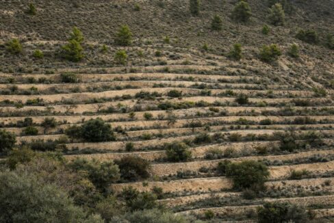 Terrazas agrícolas en la ladera
