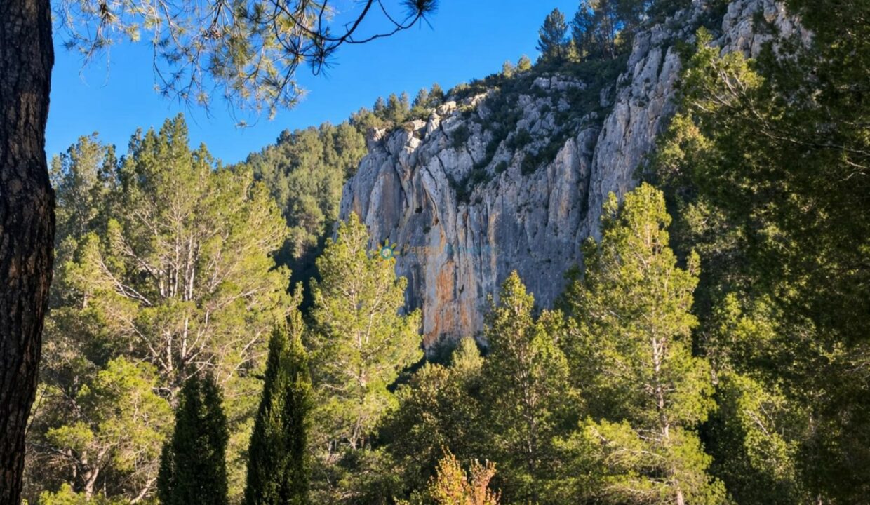 Valle forestal y acantilado rocoso