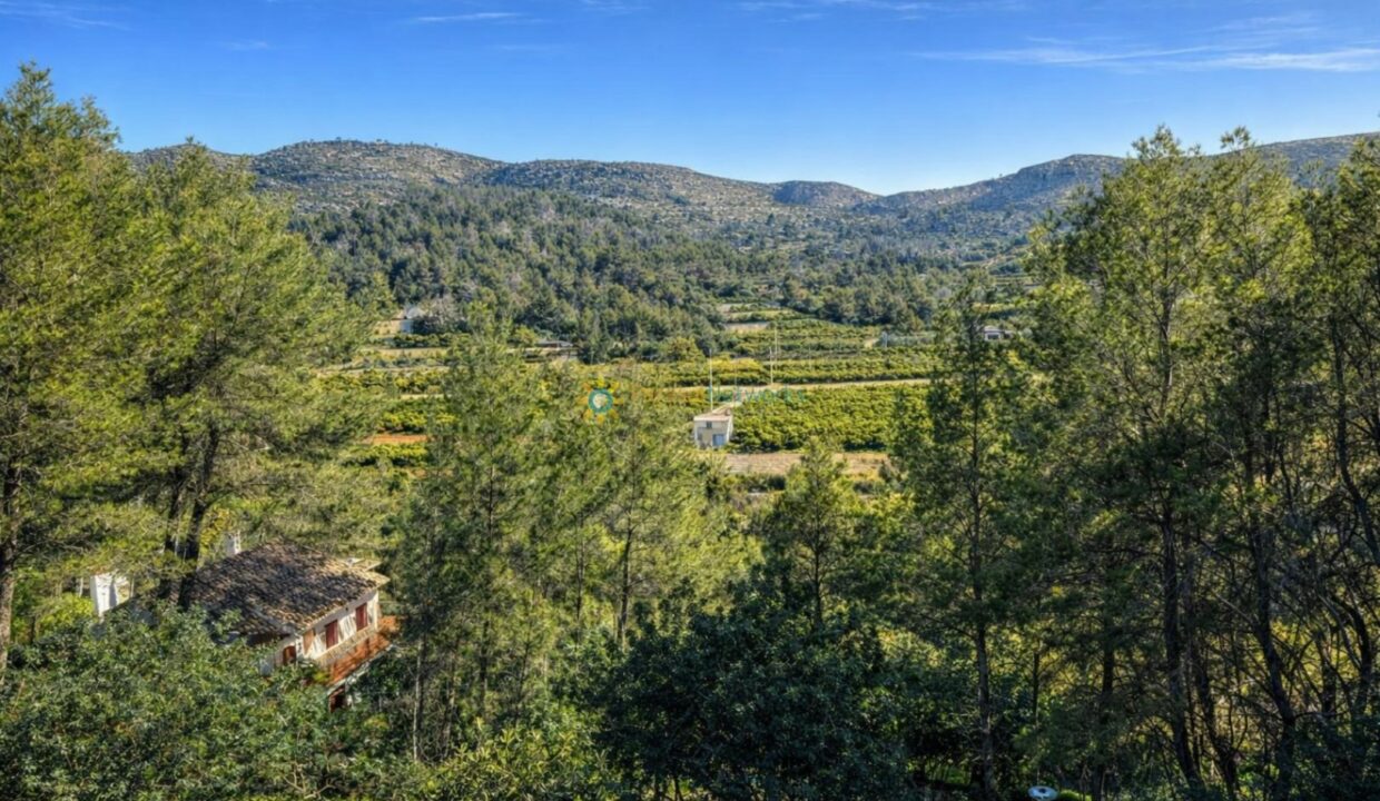 Valle mediterráneo soleado y campestre
