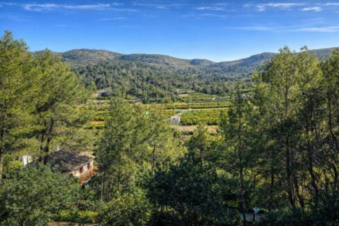 Valle mediterráneo soleado y campestre