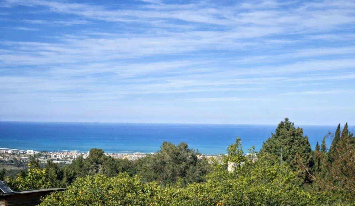 Vista costera con árboles de naranjas